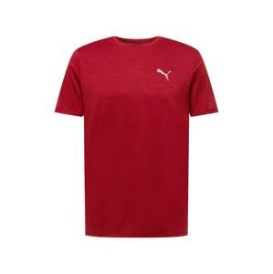 PUMA Funkčné tričko  karmínovo červená