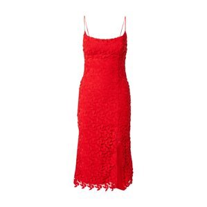Bardot Šaty 'Ariel'  červená