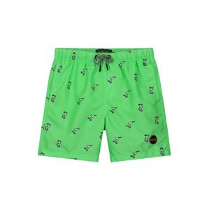 Shiwi Plavecké šortky  neónovo zelená / čierna / opálová
