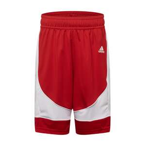 ADIDAS SPORTSWEAR Športové nohavice 'N3XT L3V3L'  ohnivo červená / biela