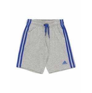 ADIDAS PERFORMANCE Športové nohavice  sivá melírovaná / modrá