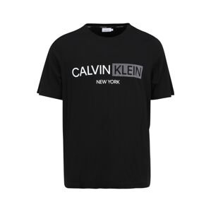 Calvin Klein Big & Tall Tričko  čierna / biela / striebornosivá