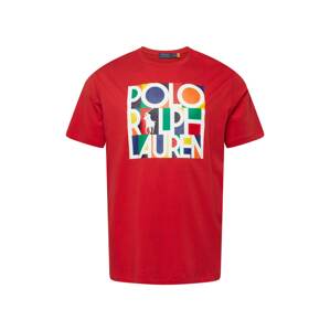 Polo Ralph Lauren Big & Tall Tričko  červená / zmiešané farby