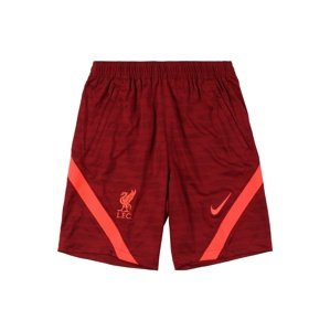 NIKE Športové nohavice 'Liverpool FC'  bordová / melónová