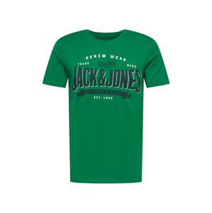 JACK & JONES T-Shirt  trávovo zelená / tmavomodrá / biela