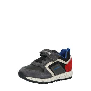 GEOX Sneaker 'ALBEN'  červená / tmavosivá / biela / čierna