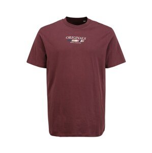 Jack & Jones Plus T-Shirt 'CLAY'  purpurová / biela / zmiešané farby
