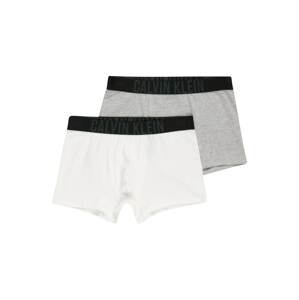 Calvin Klein Underwear Nohavičky  biela / sivá / čierna