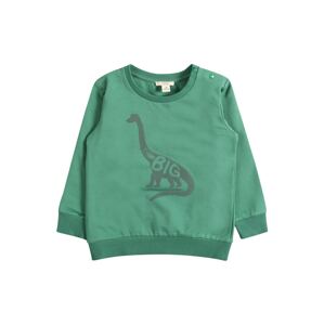 ESPRIT Sweatshirt  zelená / dymovo šedá