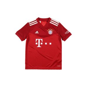 ADIDAS PERFORMANCE Funkčné tričko 'FC Bayern 21/22'  červená / biela / žltá / modrá / čierna