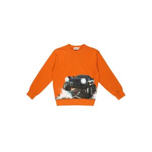 Molo Sweatshirt 'Mann'  oranžová / zmiešané farby