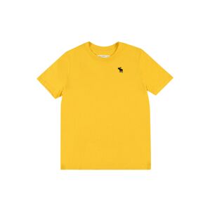 Abercrombie & Fitch Tričko  žltá