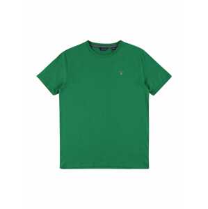 GANT T-Shirt  zelená