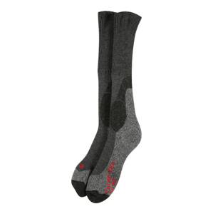 FALKE Športové ponožky  tmavosivá / sivá melírovaná / červená