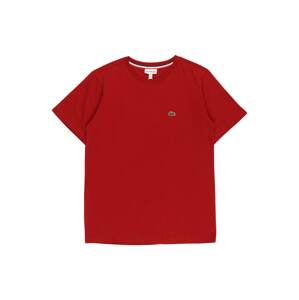 LACOSTE T-Shirt  červená / trávovo zelená / biela