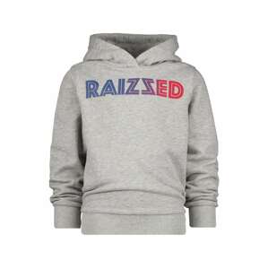 Raizzed Sweatshirt 'MANNING'  sivá melírovaná / námornícka modrá / tmavofialová / svetločervená