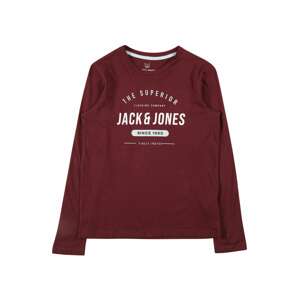 Jack & Jones Junior Tričko 'Herro'  vínovo červená / biela / azúrová