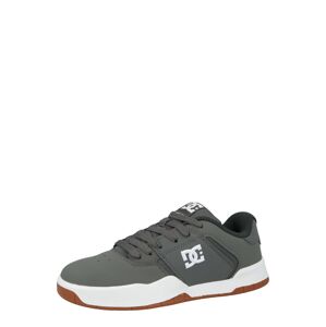 DC Shoes Sneaker 'CENTRAL'  sivá / biela