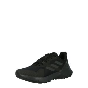 adidas Terrex Bežecká obuv  antracitová / čierna