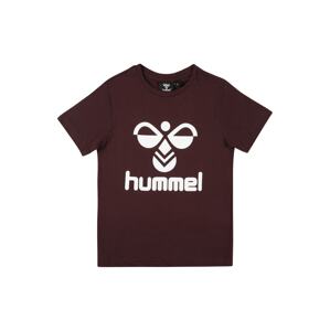 Hummel Funkčné tričko 'Tres'  hnedá / biela