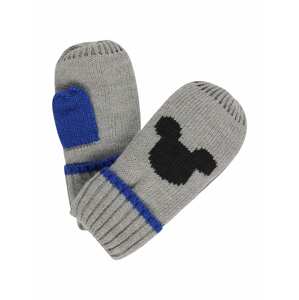 GAP Handschuhe 'MITTEN'  sivá / modrá / čierna