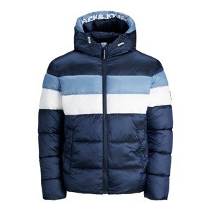 JACK & JONES Zimná bunda 'Paxson'  béžová / námornícka modrá / svetlomodrá / biela