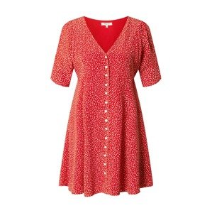 Madewell Šaty  červená / biela