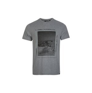 O'NEILL Tričko 'Mountain Frame'  sivá / zmiešané farby