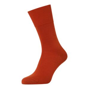 FALKE Ponožky 'Airport'  oranžovo červená