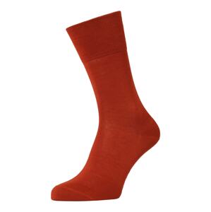 FALKE Ponožky 'Tiago'  hrdzavo červená