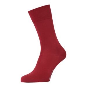 FALKE Ponožky 'Cool 24/7'  červená / svetlosivá