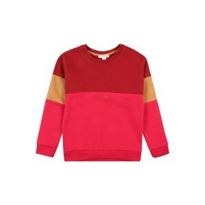 ESPRIT Sweatshirt  krvavo červená / zmiešané farby