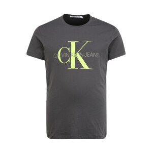 Calvin Klein Jeans Plus Tričko  neónovo zelená / tmavosivá