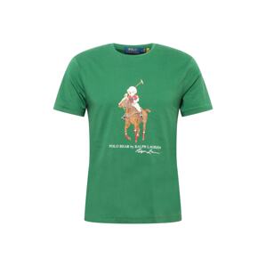 Polo Ralph Lauren Tričko  zelená / biela / svetlohnedá