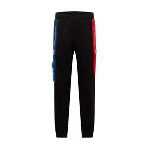 PUMA Športové nohavice 'BMW Motorsport'  čierna / červená / biela / modrá / sivá