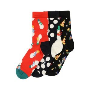 Happy Socks Ponožky 'Holiday'  červená / čierna / nefritová / biela