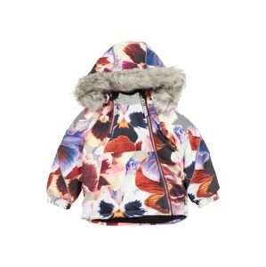 Molo Zimná bunda 'Hopla'  zmiešané farby