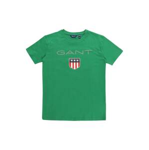 GANT T-Shirt  zelená / sivá