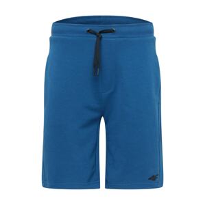 4F Športové nohavice  modrá / čierna