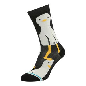 Stance Socken 'PENNY THE PIGEON'  čierna / biela / žltá / tyrkysová