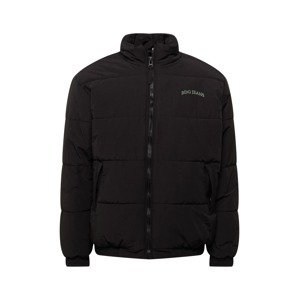 BDG Urban Outfitters Zimná bunda  čierna / zelená