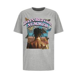 MT Upscale Tričko 'Days Before Summer'  hnedá / svetlosivá / ružová / čierna