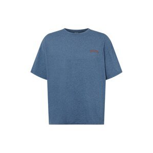 BDG Urban Outfitters Tričko  modrá / hrdzavo červená