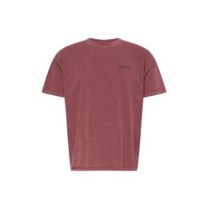 BDG Urban Outfitters Tričko  pastelovo červená / tmavozelená