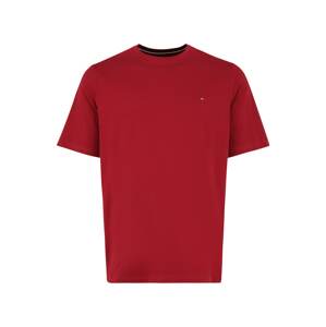 Tommy Hilfiger Big & Tall Tričko  pastelovo červená / biela / tmavomodrá / červená