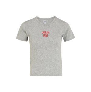 BDG Urban Outfitters T-Shirt  sivá melírovaná / červená
