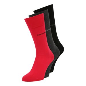Calvin Klein Underwear Ponožky  červená / antracitová / čierna
