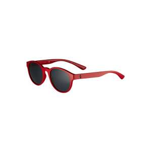 Polo Ralph Lauren Slnečné okuliare '0PH4176'  červená / čierna
