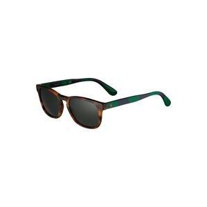 Polo Ralph Lauren Slnečné okuliare '0PH4170'  zelená / čierna / hnedá