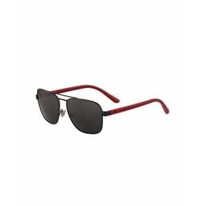 Polo Ralph Lauren Slnečné okuliare '0PH3138'  čierna / červená
